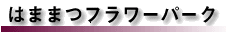 ͂܂܂t[p[N