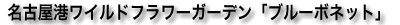 É`Cht[K[fuu[{lbgv 
