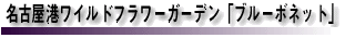 É`Cht[K[f uu[{lbgv