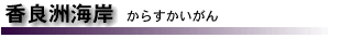 ǏFC݁@炷