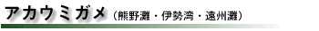 AJE~KiFEɐpEBj